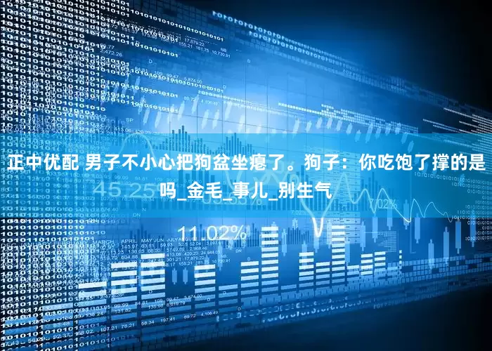 正中优配 男子不小心把狗盆坐瘪了。狗子：你吃饱了撑的是吗_金毛_事儿_别生气