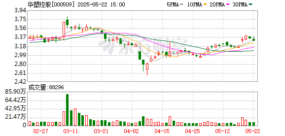 九龙证券 华塑控股：2024年年度股东会决议公告